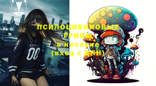 бошки Армянск