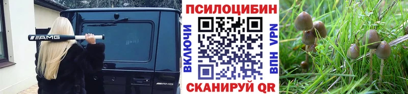 даркнет формула  Краснослободск  Галлюциногенные грибы ЛСД 